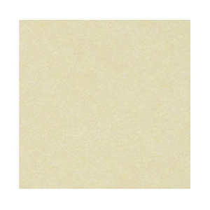 Papel Obra Naturaleza 65x95 100g 250h Tempo