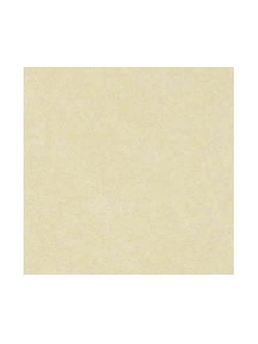 Papel Obra Naturaleza 65x95 100g 250h Tempo