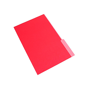 Carpeta Interna NEPACO Rojo